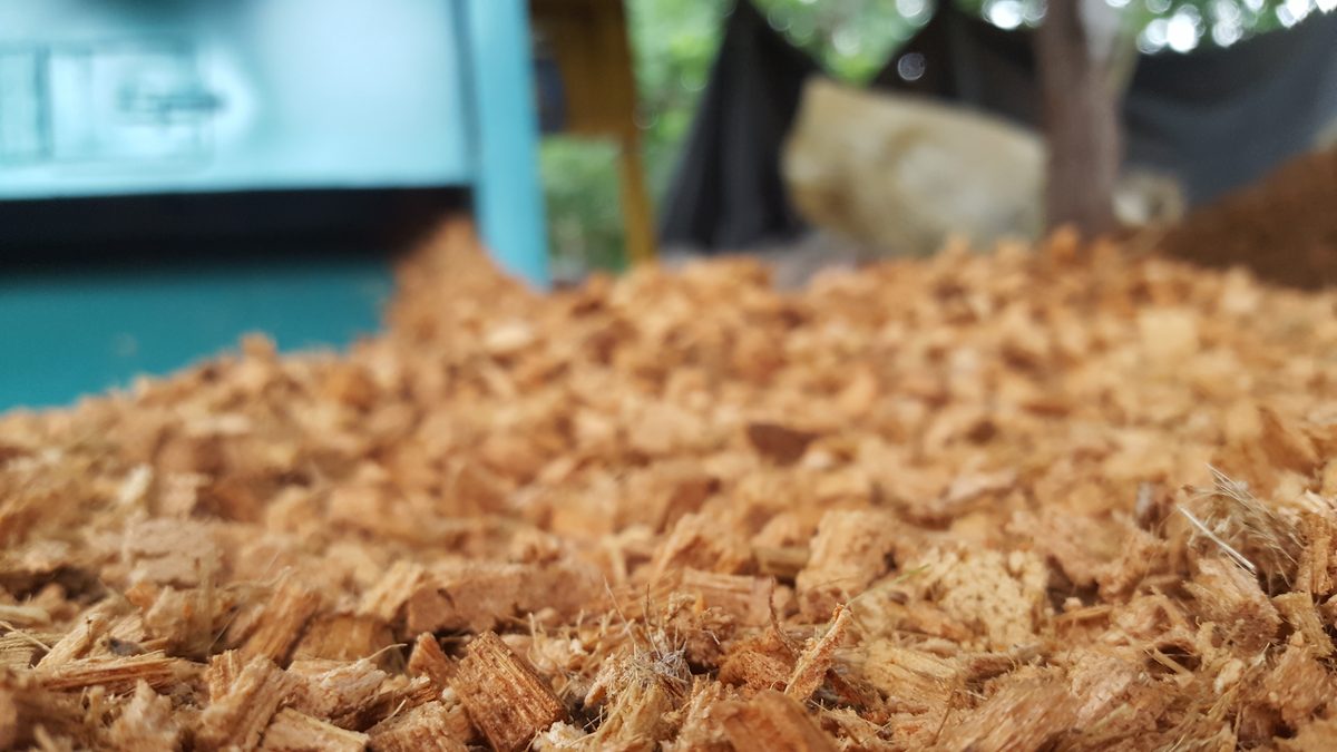 Substrato de coco para drenagem