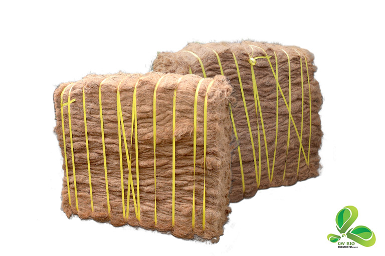 Fibra de coco bristle industrial