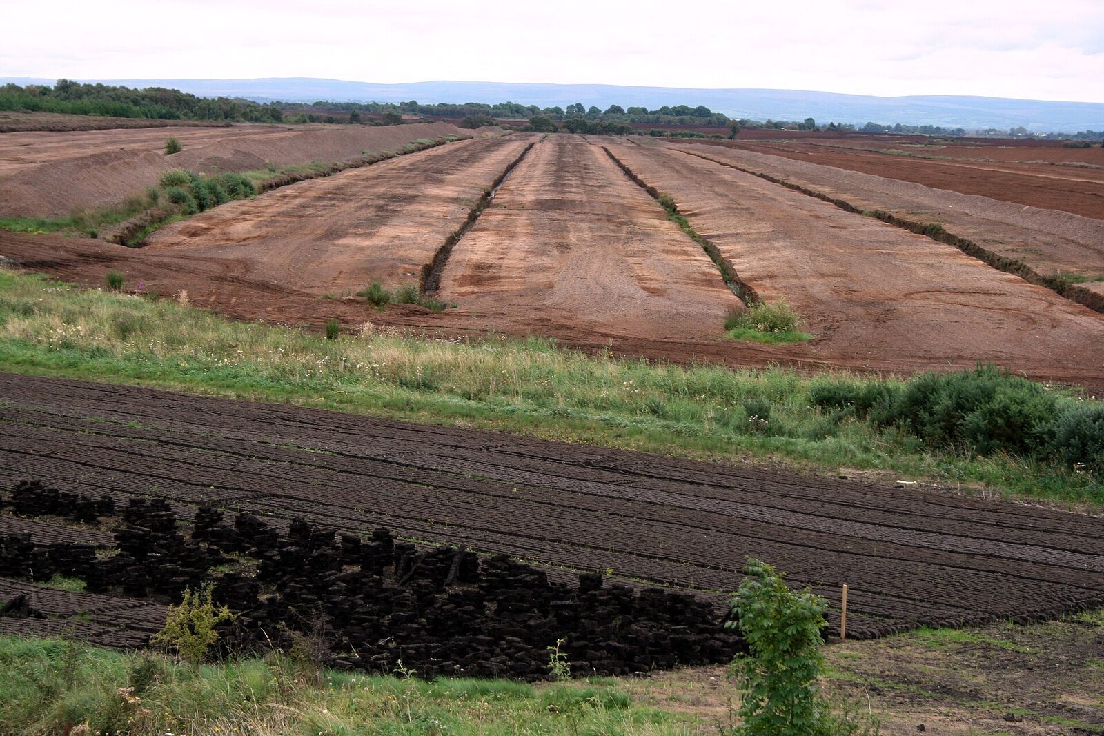 Industrial peat harvesting on a drained section of the Bog of Allen, County Offaly, Ireland